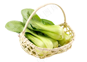 绿色蔬菜油菜
