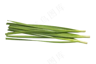 韭菜绿色蔬菜