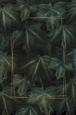 手绘绿色枫叶背景矩形金框