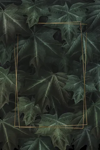 手绘绿色枫叶背景矩形金框