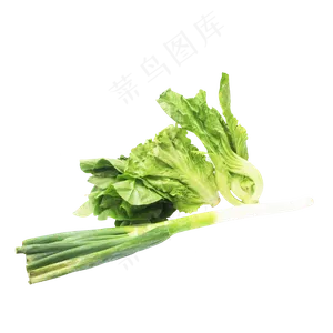 大葱生菜芥菜
