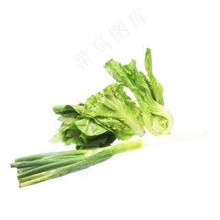 大葱生菜芥菜