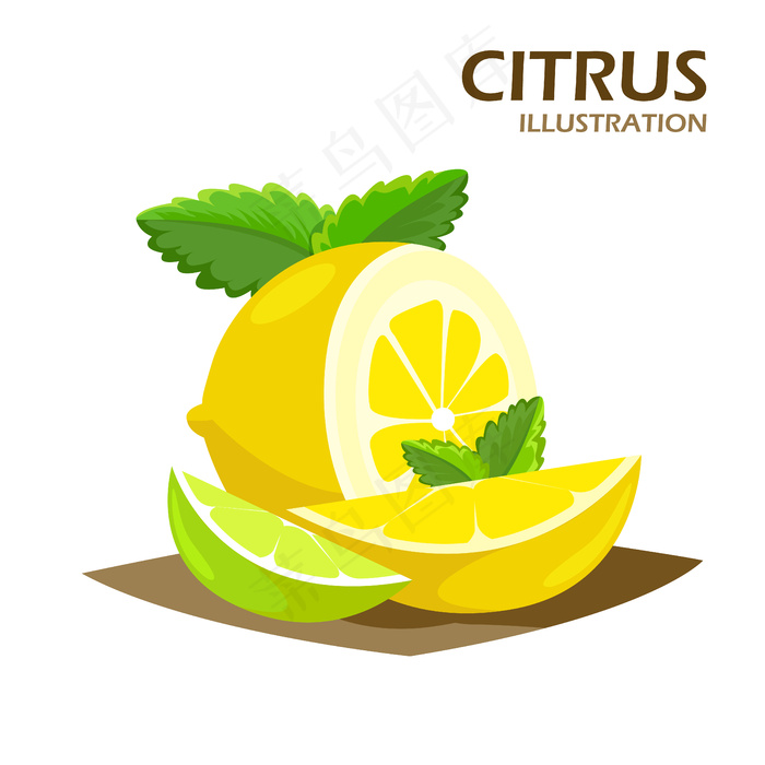 柑橘类水果半边和四分之一楔形图案