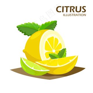 柑橘类水果半边和四分之一楔形图案