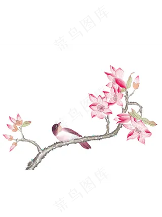 国画花鸟中国风高清免扣素材12