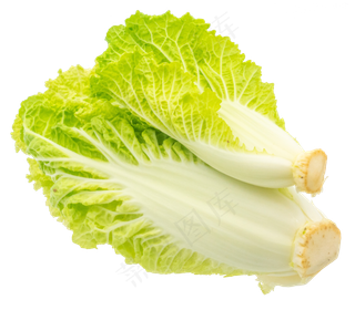 绿色蔬菜白菜
