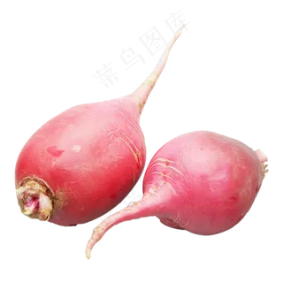 绿色蔬菜水萝卜