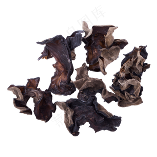 蔬菜黑木耳（png免抠）