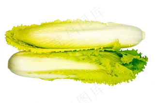 绿色蔬菜白菜