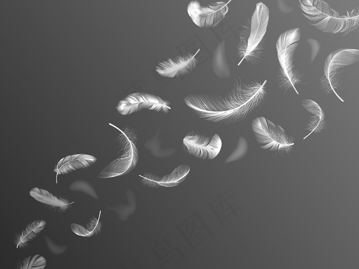 蓬松的羽毛。逼真的天使翅膀羽毛流动，落下的鸟羽毛，蓬松的天鹅或鸽子旋转羽毛背景插图。轻流羽，轻飘羽