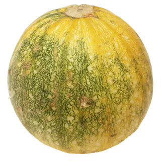 湿垃圾变质南瓜 湿垃圾变质南瓜