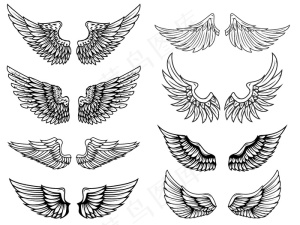 白色背景上的翅膀。标志、标签、徽章、标志、徽章的元素。插图