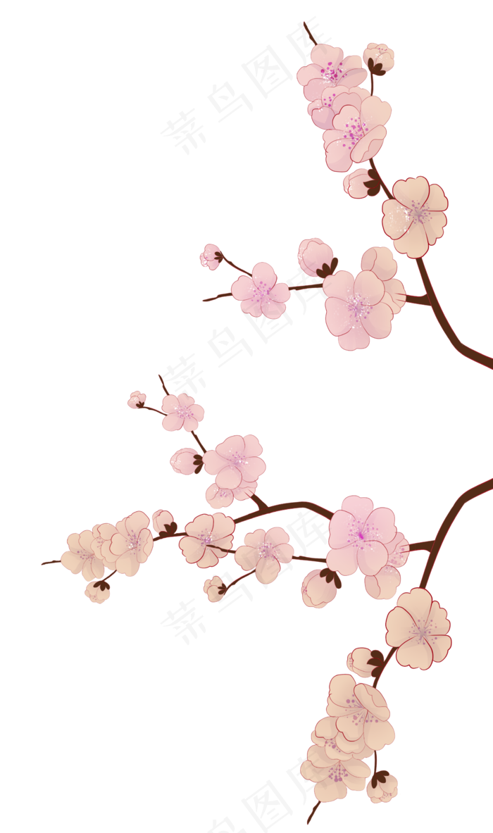 古风中国风梅花