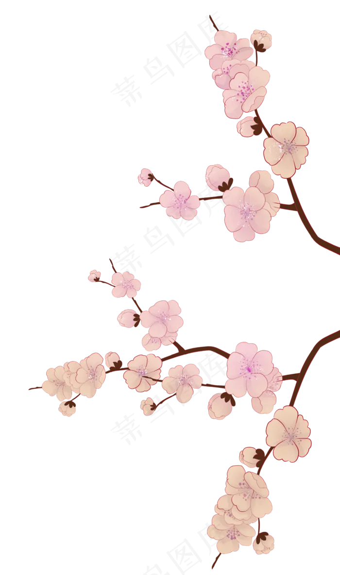 古风中国风梅花(2309X3901(DPI:300))psd模版下载