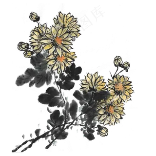 水墨重阳节菊花
