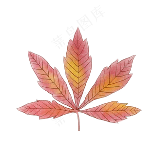 秋天小清新渐变枫叶