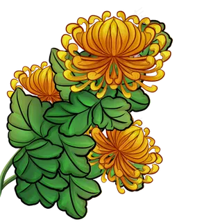 重阳节赛璐璐菊花素材