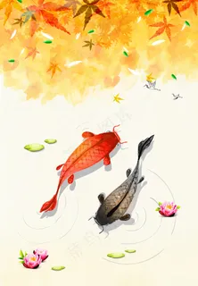 锦鲤 年年有余 锦鲤 年年有余