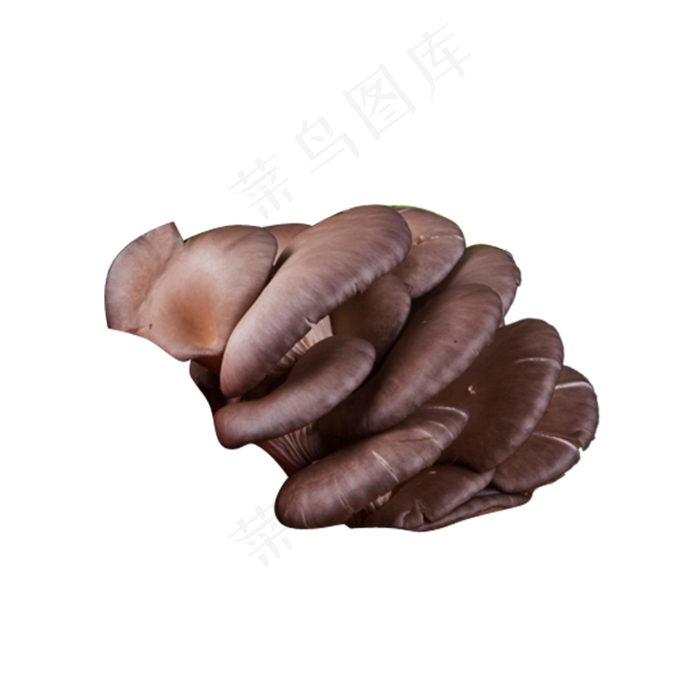 灰色创意蘑菇食物元素