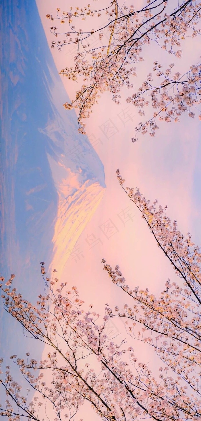 春暖花开-富士山