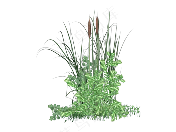 免扣素材绿色植物元素高清