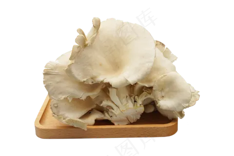 蘑菇新鲜蔬菜 蘑菇新鲜蔬菜