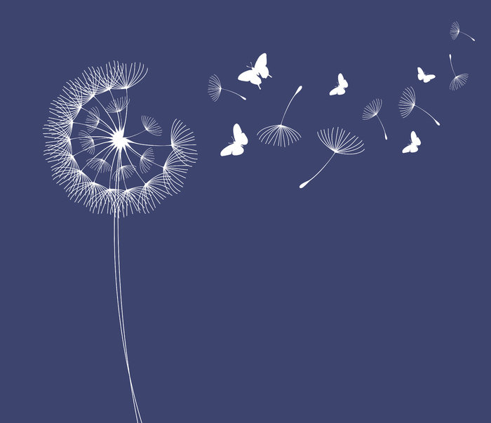 蒲公英与飞蝴蝶和种子矢量图