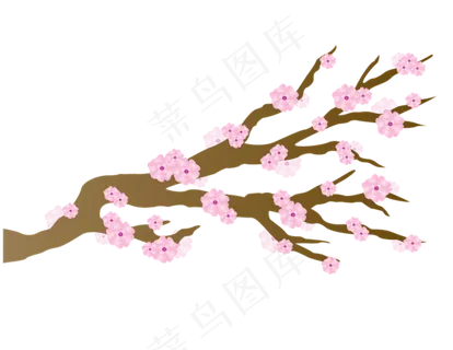 樱花开花植物免扣png
