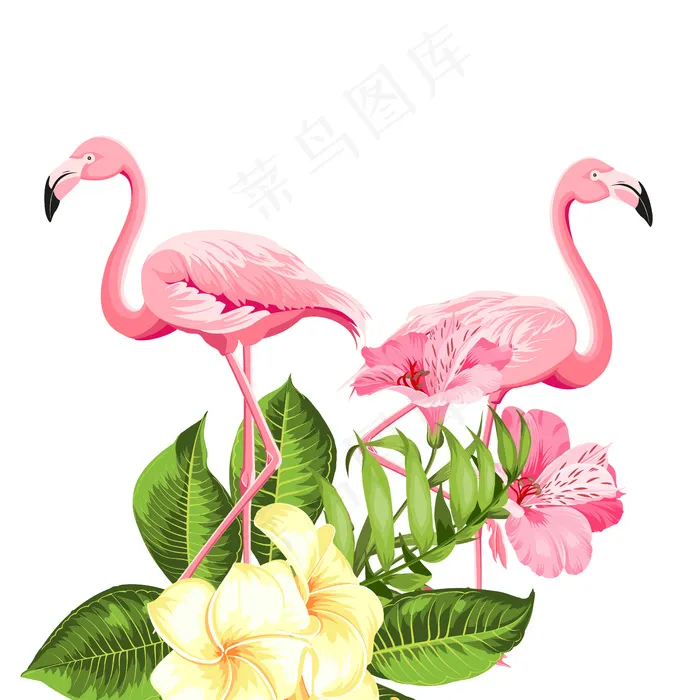白色背景上的热带花和火烈鸟。矢量插图。