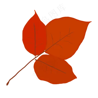 植物元素红叶元素