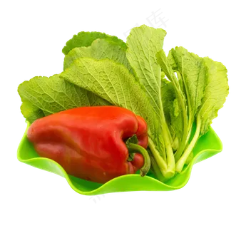 绿色蔬菜小白菜