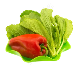 绿色蔬菜小白菜