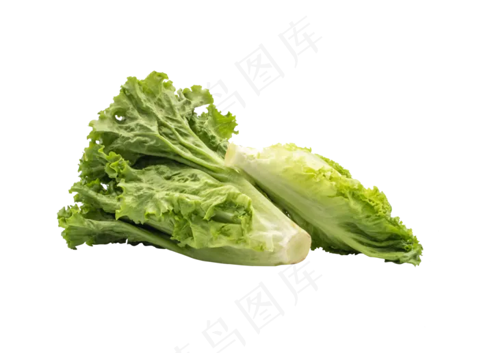 白菜生菜蔬菜(5198*3831px 300 dpi )