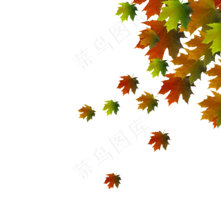 红色手绘枫叶中秋