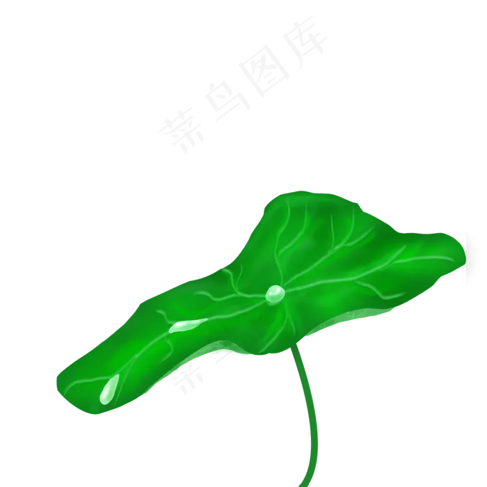 简约手绘白露荷叶元素(2000X2000(DPI:300))psd模版下载