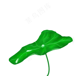 简约手绘白露荷叶元素