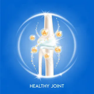 人体骨骼解剖学。骨骼x射线扫描概念和维生素治疗。