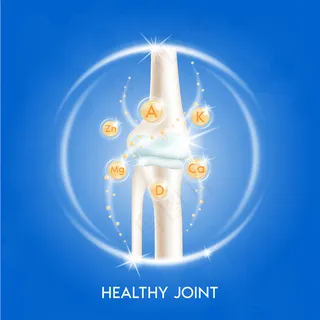 人体骨骼解剖学。骨骼x射线扫描概念和维生素治疗。