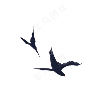 天空中黑色的大雁 天空中黑色的大雁