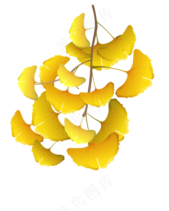 黄色的树叶