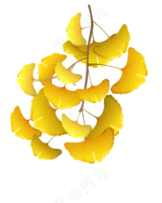 黄色的树叶