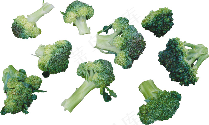 花菜 花椰菜psd模版下载