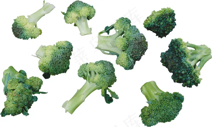 花菜 花椰菜psd模版下载