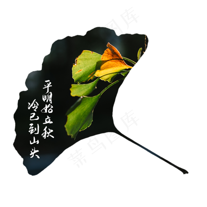 秋季叶子创意合成