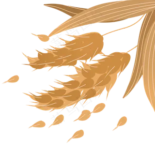 手绘秋天金黄的麦穗