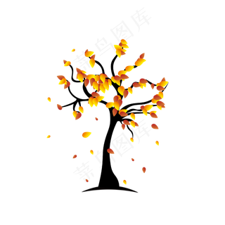 秋天立秋落叶树木素材