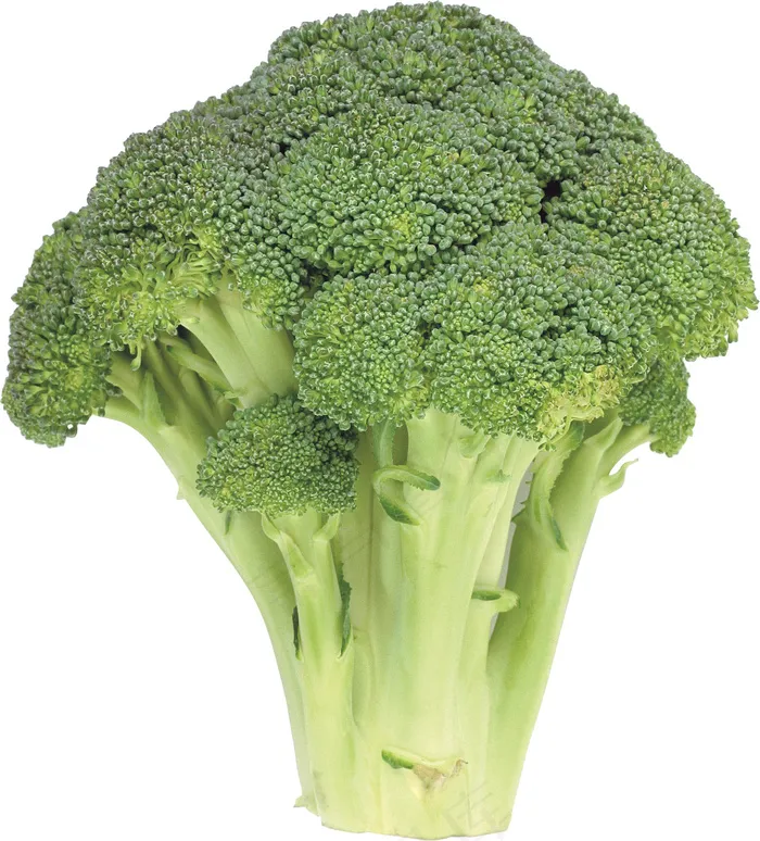 西兰花 花菜psd模版下载