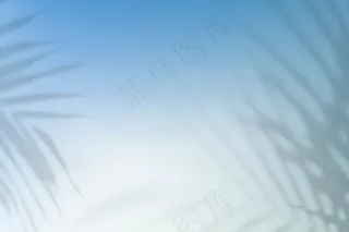 夏季渐变背景矢量与叶影