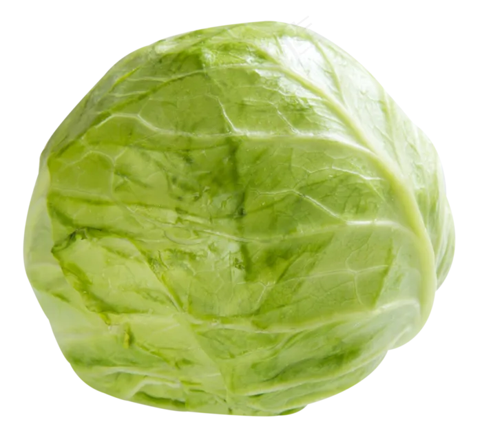 一颗圆白菜(2967X2664(DPI:300))psd模版下载