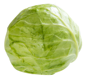 一颗圆白菜